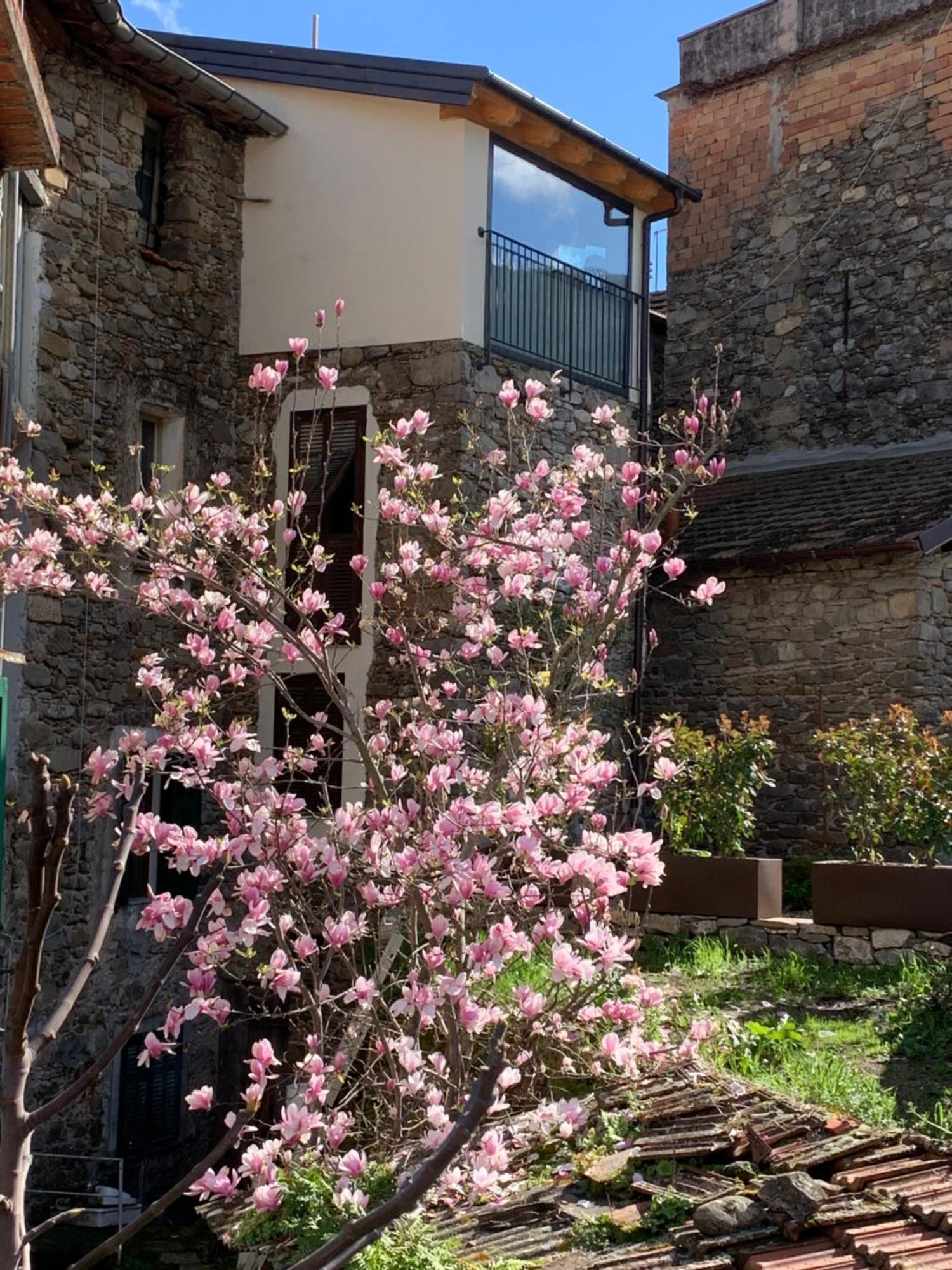 Villa Vicolo Rosso 2 à Dolceacqua Extérieur photo